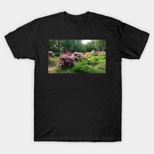 Rhododendron Park T-Shirt